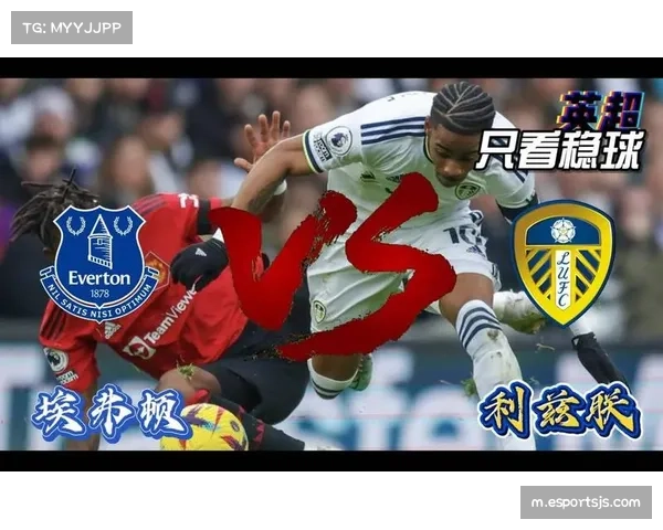 英超升班马生存现状调查 三队中仅一队有望成功保级